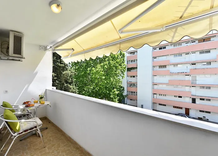 Aspalathos Dream 斯普利特